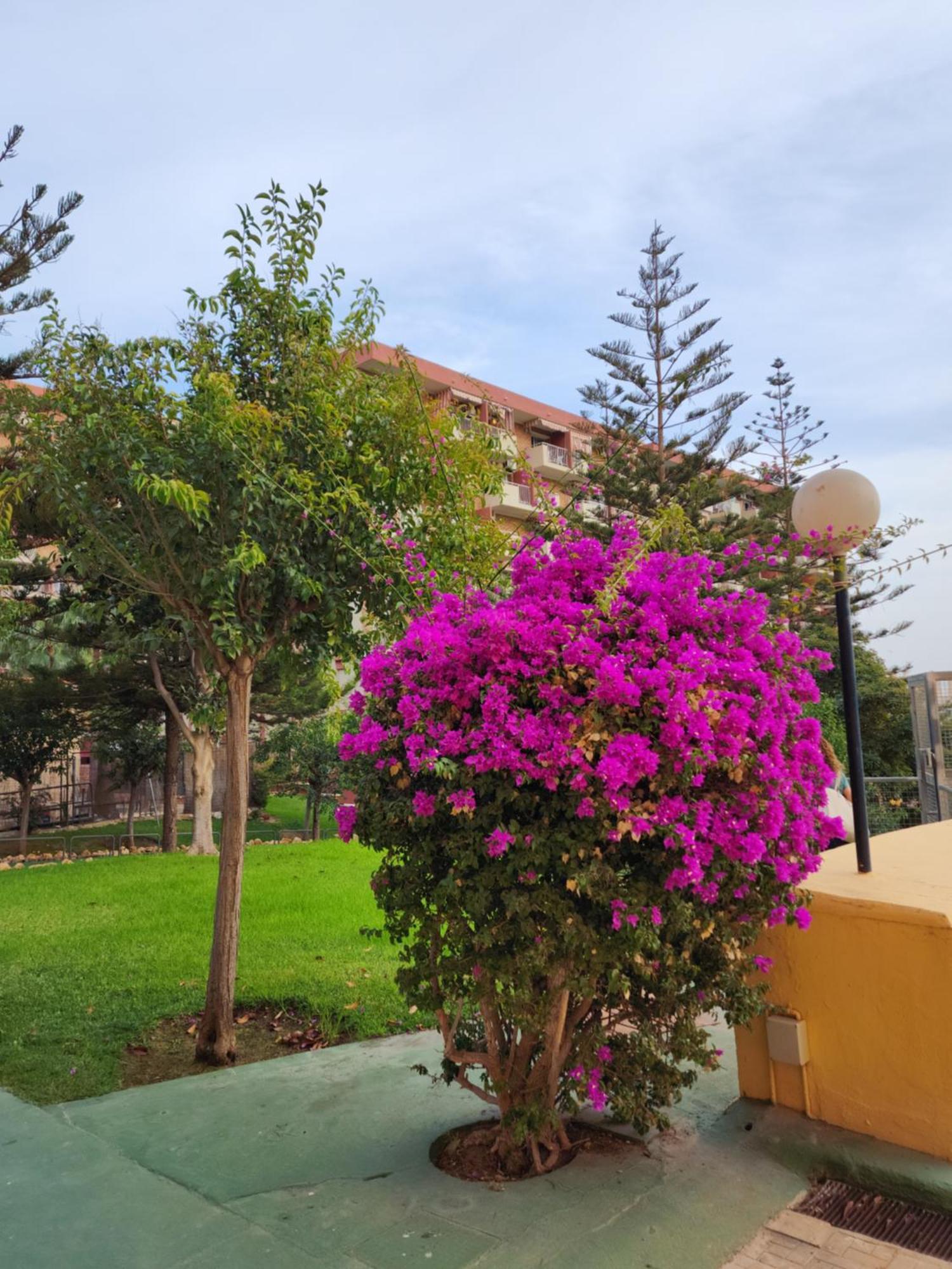 Benalmadena Minerva 401 Estudio Con Gran Piscina Y Parque Acuatico Exterior foto